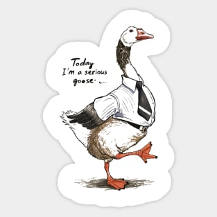 Today I'm A Serious Goose Silly Goose Cute Funny Sticker